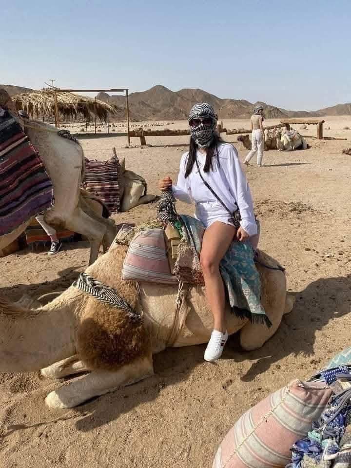 🏜️ Mountain Safari