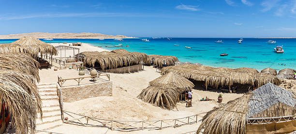 Paradise Island Sea Trip with Red Sea Arzu 🌴🚤